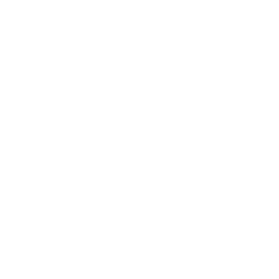 software-developer